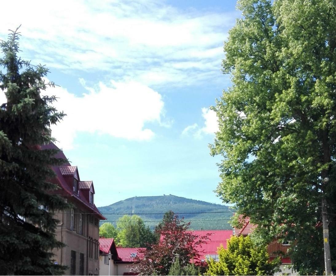 Zakatek - Centrum *